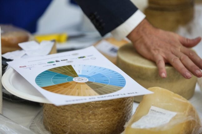 A flavour wheel at the World Cheese Awards 2022