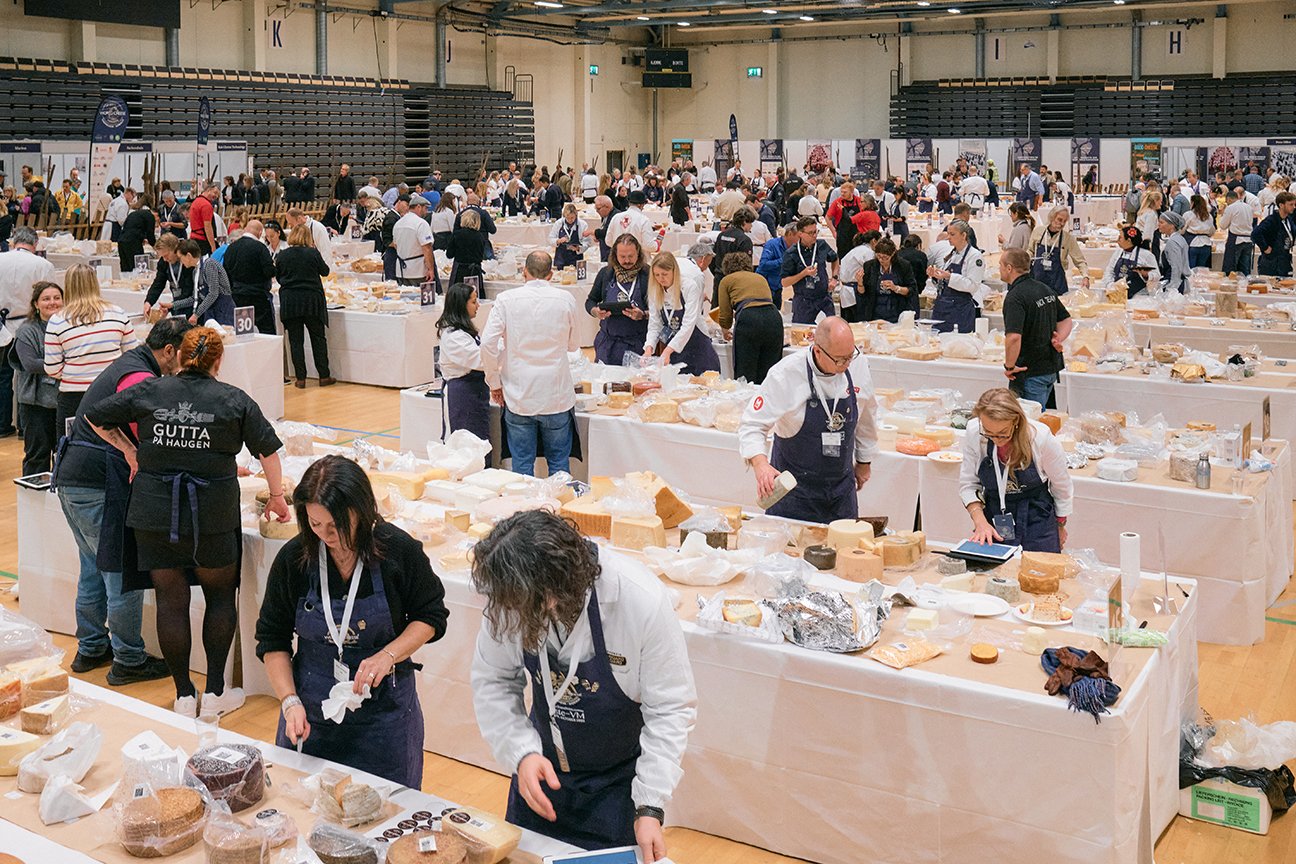 Judging day at the World Cheese Awards 2023 in Trondheim, Norway