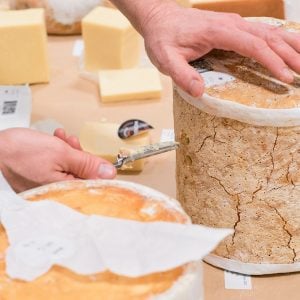 World Cheese Awards 2023 Judging