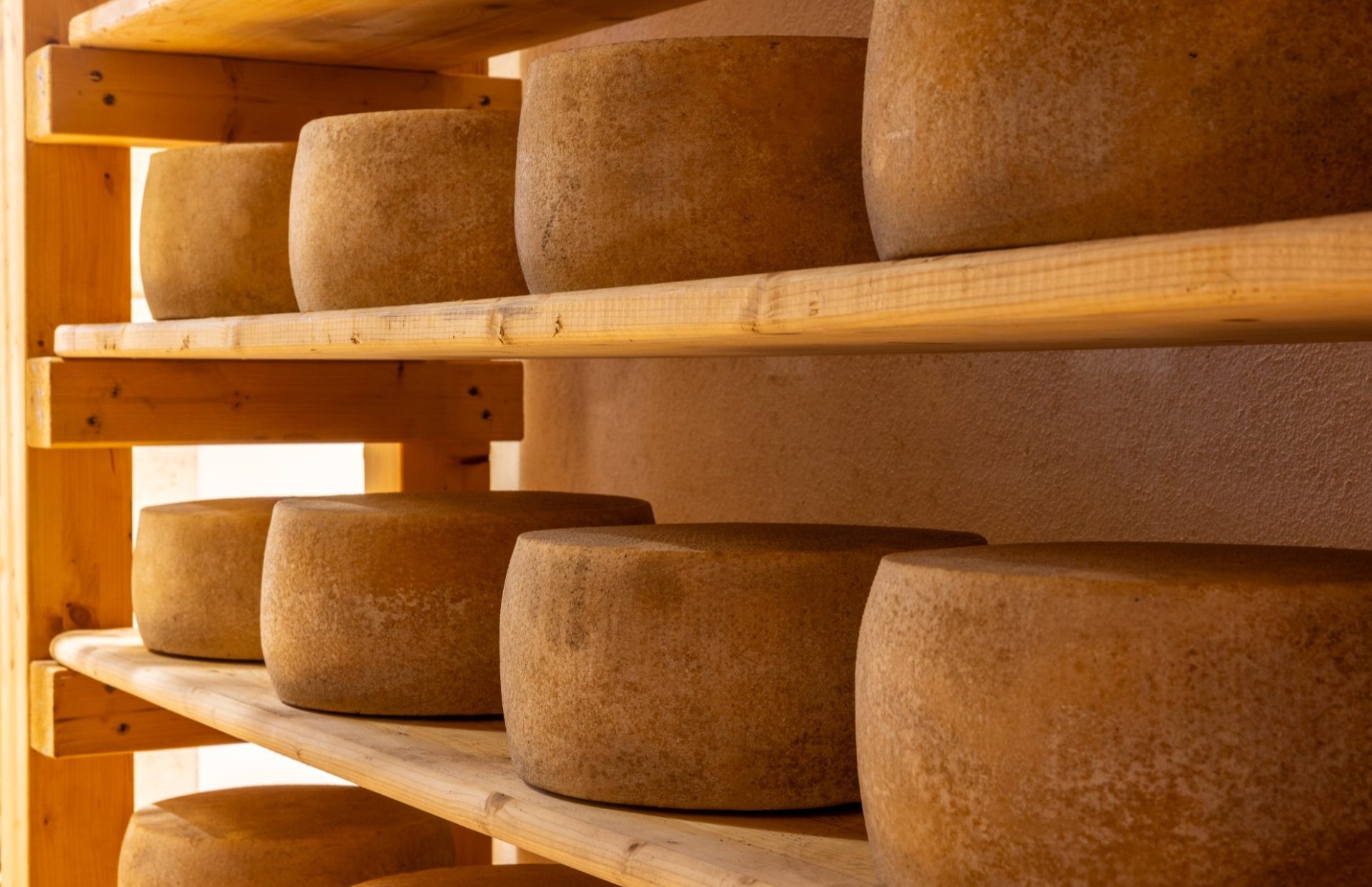 Great Taste in Italy - Caseficio il Fiorino (cheese producer)