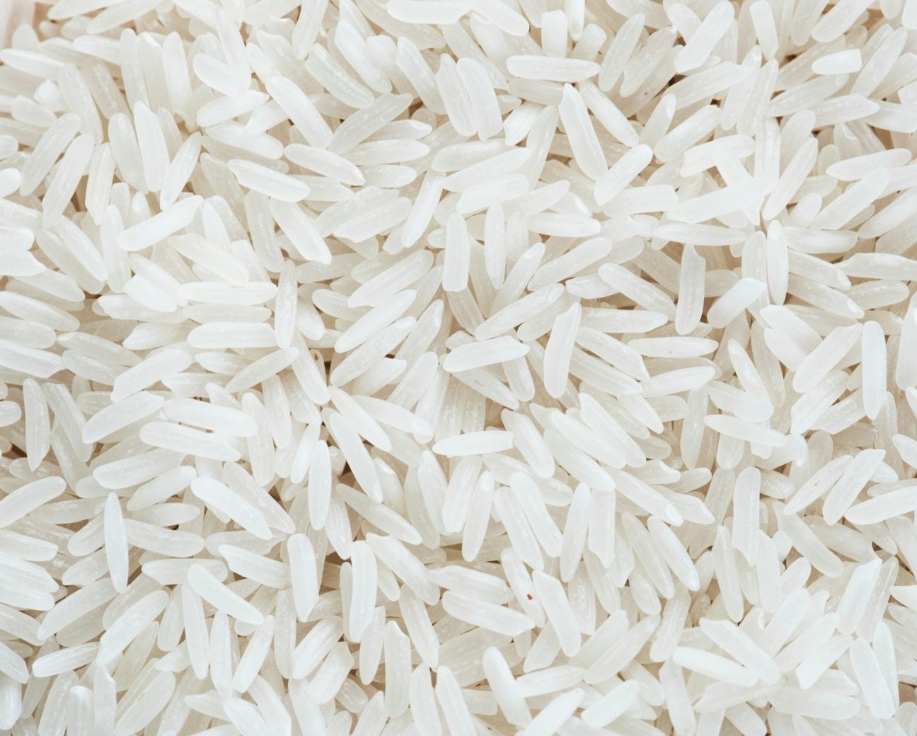 Rice - Unsplash stock pic